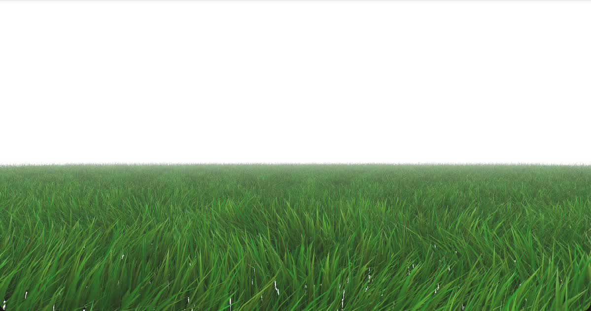 Three.js scene showing Grassworks initialized successfully on the canonical basic terrain.